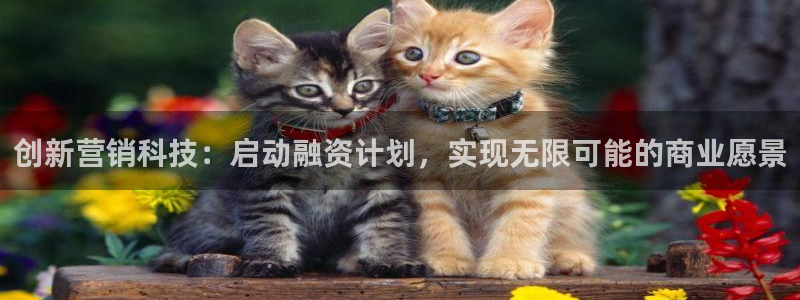 金年会体育app网页版入口