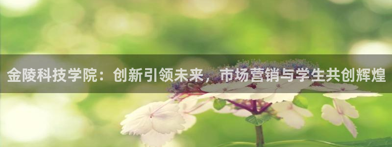 金年会手机网页版