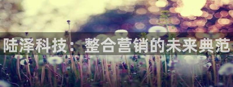 金年会体育app最新