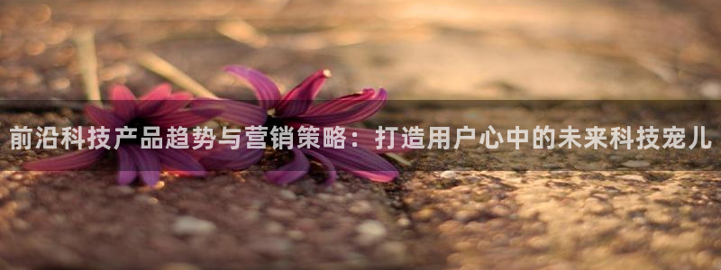 金年会诚信至上金字招牌