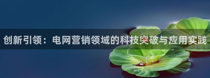 金年会体育app入口
