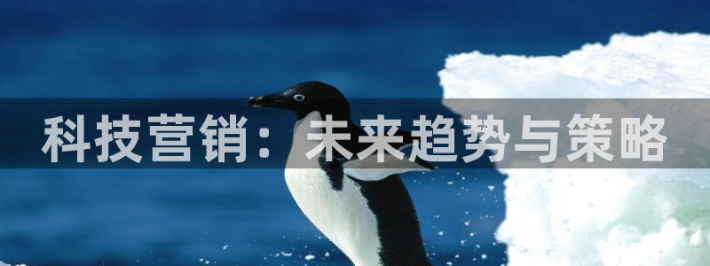 金年会体育app下载官网苹果手机