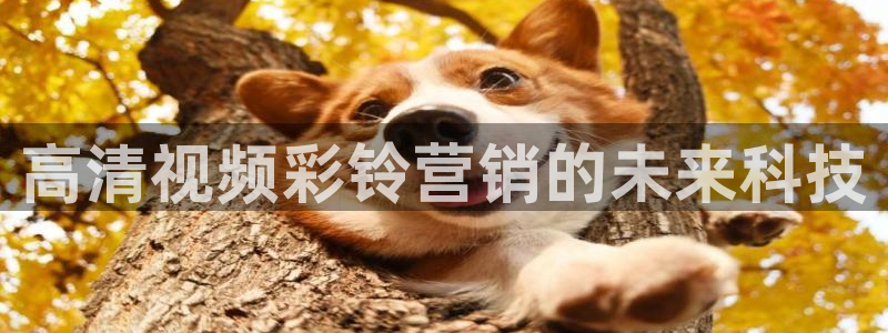 金年会官方网站入口v1.5.7