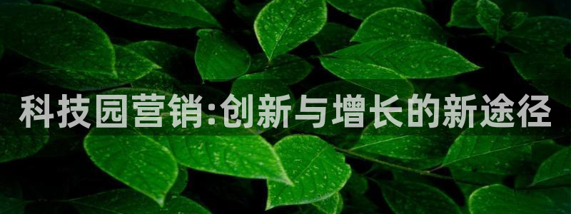 金年会官方进入2023