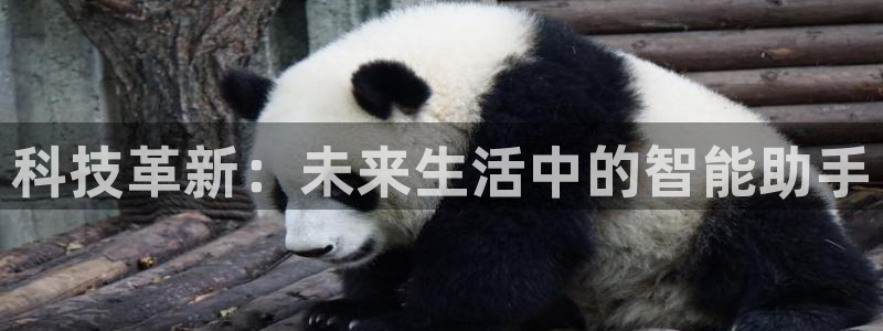 金年会官方在线登录网址是什么呢