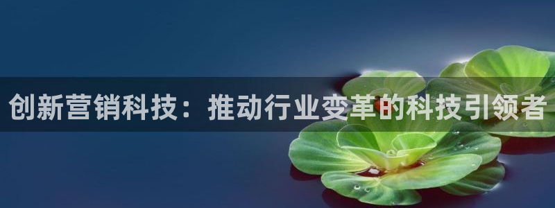 金年会官方app下载官网