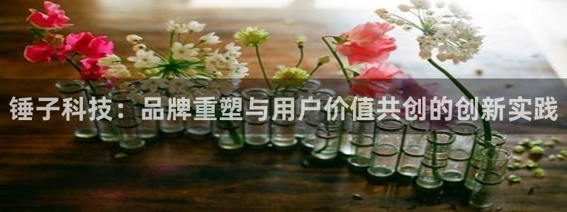 金年会入口网站