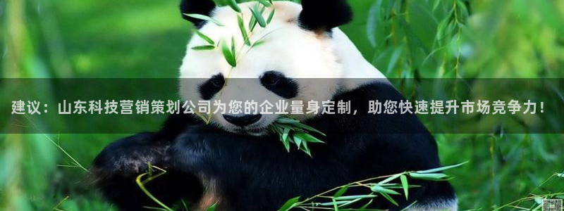 金年会体育中国官方网站