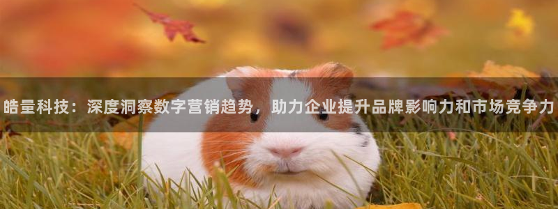 金年会体育平台登录：