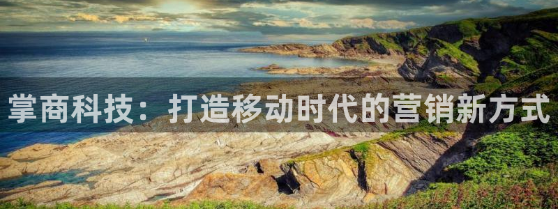 金年会体育电子登录入口