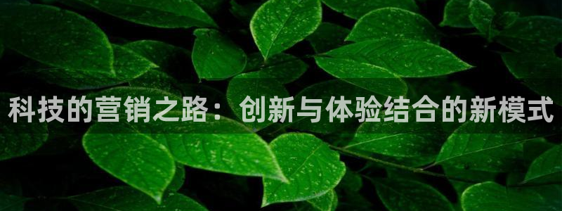 金年会体育有限公司