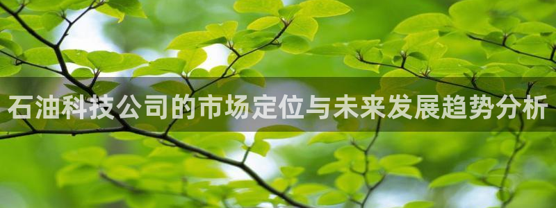 金年会vip网页版在
