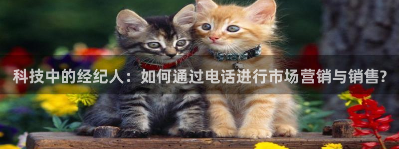 金年会vip网页版在线登录入口下载