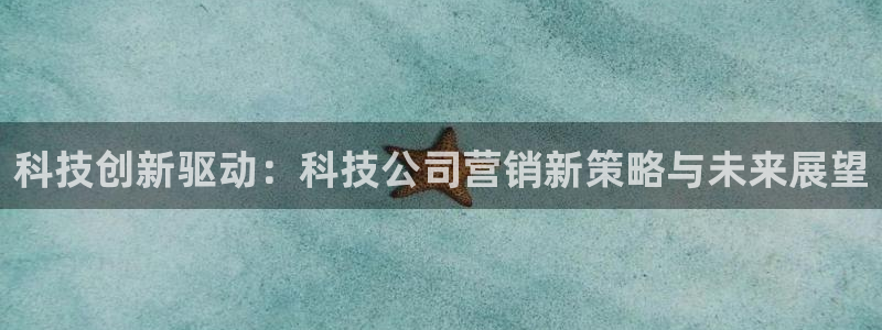 金年会体育网站