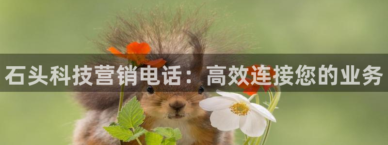 金年会体育开户