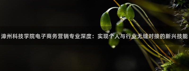 金年会体育平台连接下载