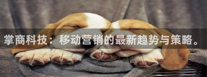 金年会入口登录：掌商