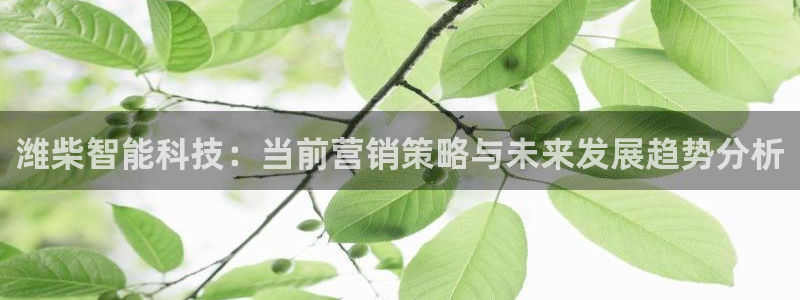 金年会电子游戏app官方入口网站