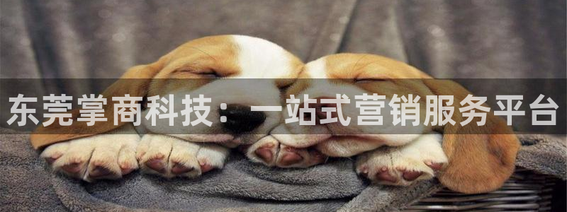 金年会体育买球app下载