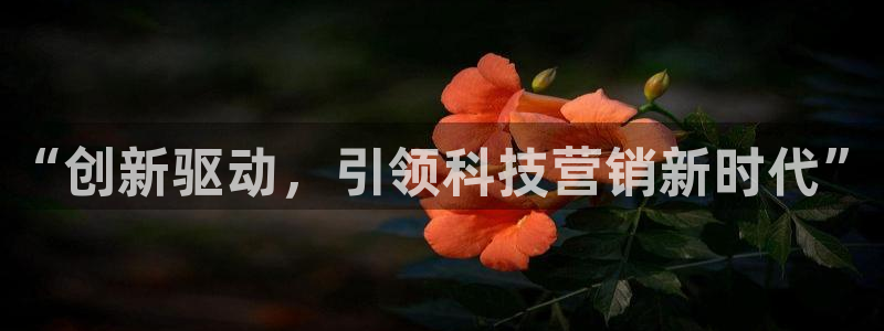 金年会官方在线入口网址是什么