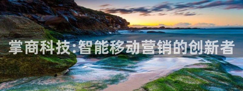 金年会官方在线入口网址是什么