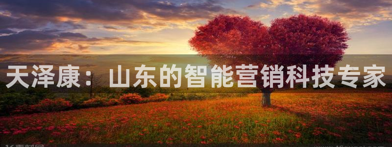 金年会体育电子登录入口