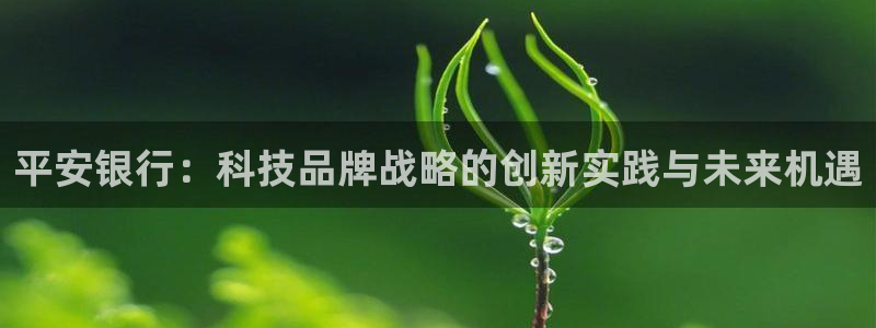 金年会体育一直输：平