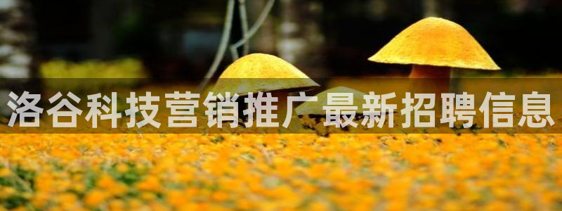 金年会手机网页版吗