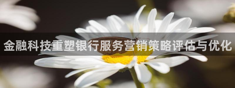 金年会体育官网登录入口下载