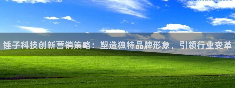 金年会体育app官网下载