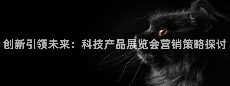 金年会网站洗黑钱