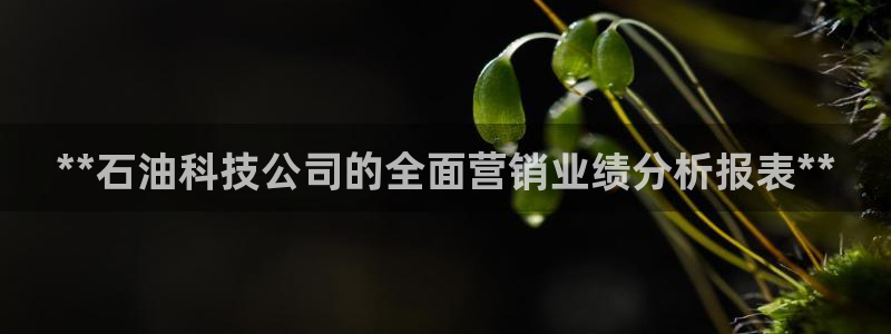 金年会今年会官方在线登录