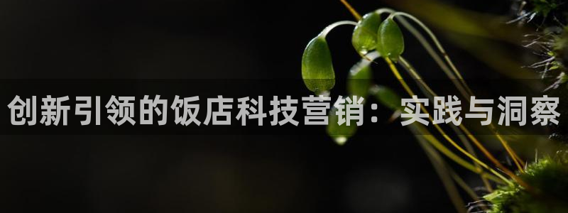 金年会登录网址