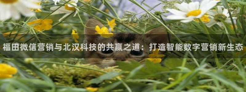 金年会体育网址登录