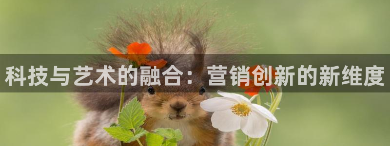 金年会官方登录入口手机版