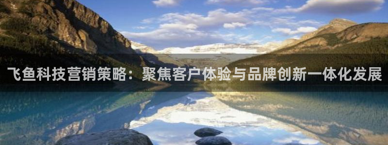 金年会体育电脑客户端登录