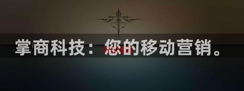 金年会体育网站