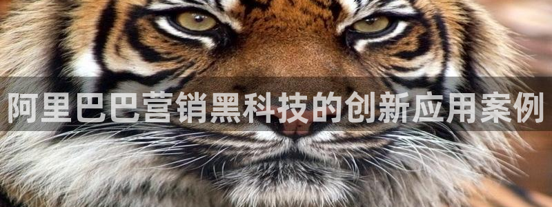 金年会体育平台连接下载