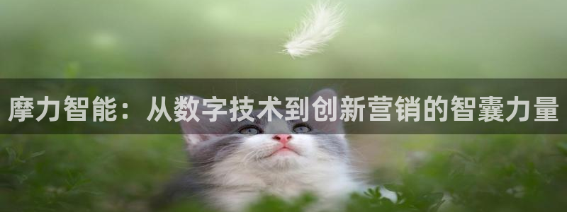 金年会体育平台是真的吗知乎