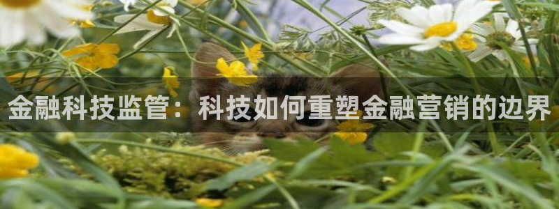 金年会体育苹果下载