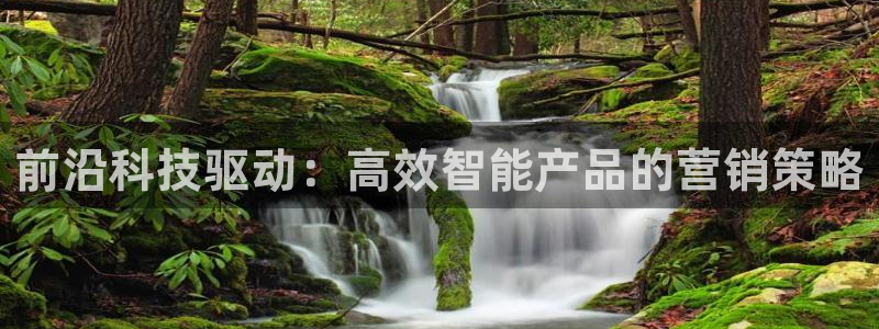 金年会体育登入入口