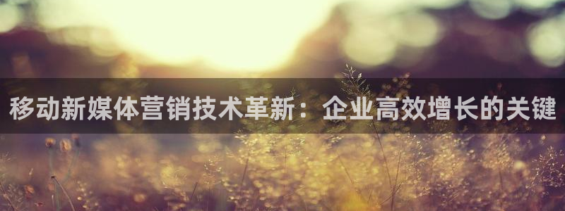 金年会网站入口登录