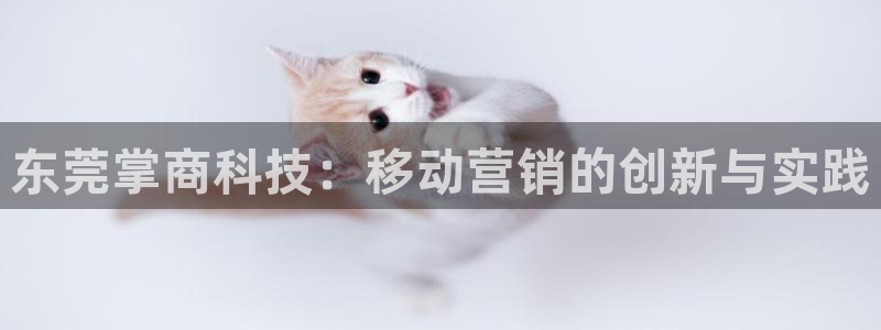 金年会下载软件：东莞